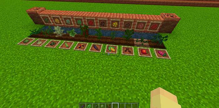Nuevos tipos de verduras y frutas