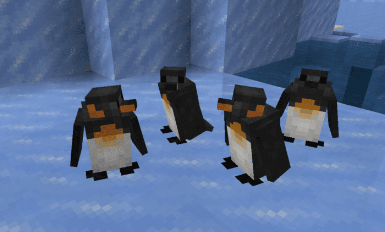 Pinguim
