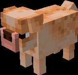 Distintas razas de Perros