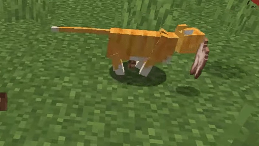 1.20 में Minecraft में बिल्लियों को कैसे वश में करें