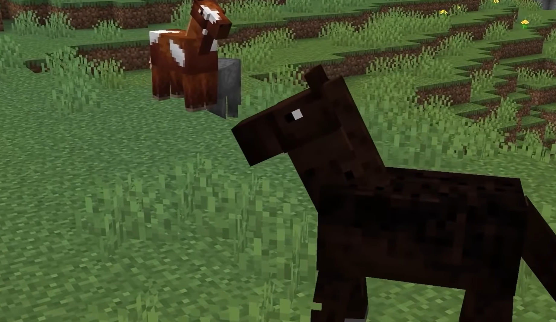 Come domare un cavallo, un mulo, un asino in Minecraft in 1.21