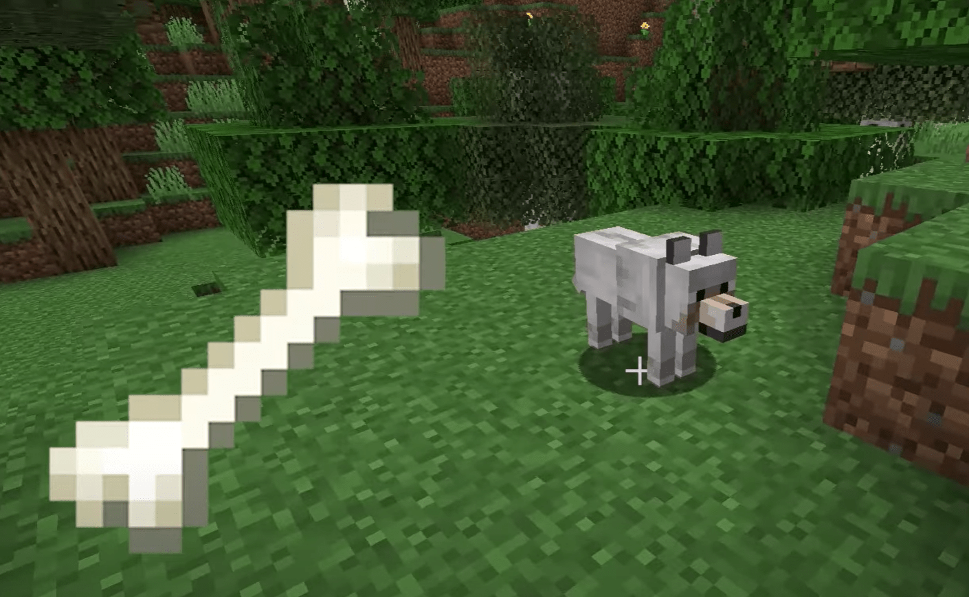 1.21'de Minecraft'ta kurtlar nasıl evcilleştirilir