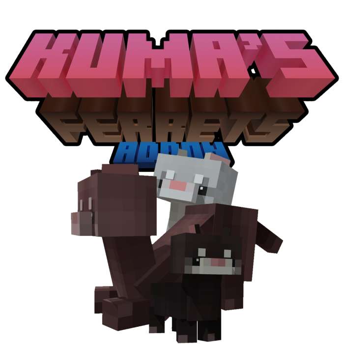 Furets de chez Kuma
