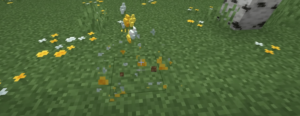 Jak pszczoły i kwiaty stały się najlepszymi przyjaciółmi w Minecraft