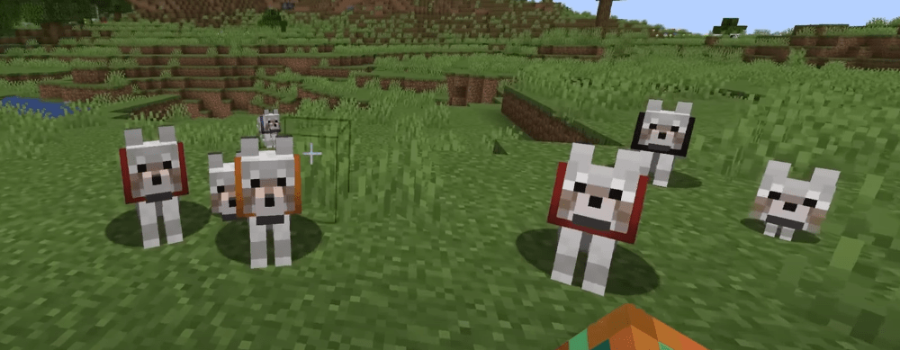 실험: Minecraft 1.21.4에서 강아지의 목줄 색깔은 무엇일까요?
