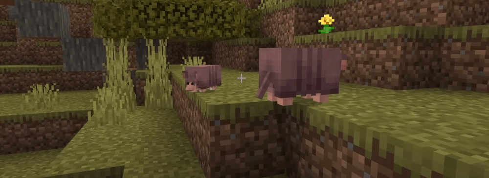 Pancernik pod mikroskopem: co kryje sześcienna kula w Minecraft