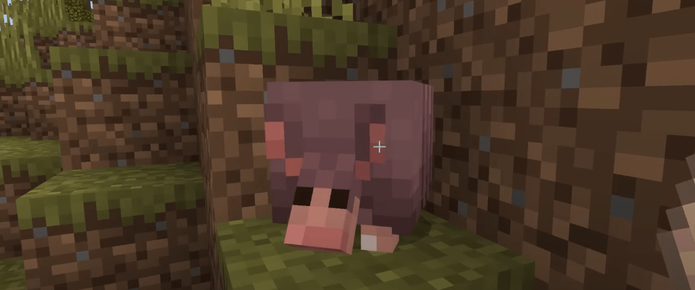 Zırh plakası oto-çiftliği: Minecraft’taki çılgın deneyim!