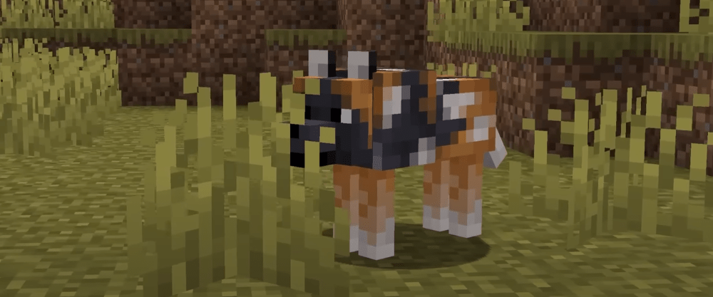 Мой гайд по приручению Пятнистого Волка в Minecraft