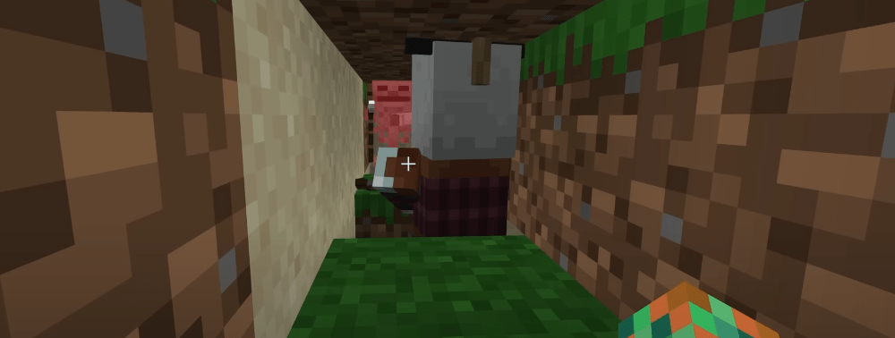 Is a skeleton a hero? My crazy experiment in Minecraft
