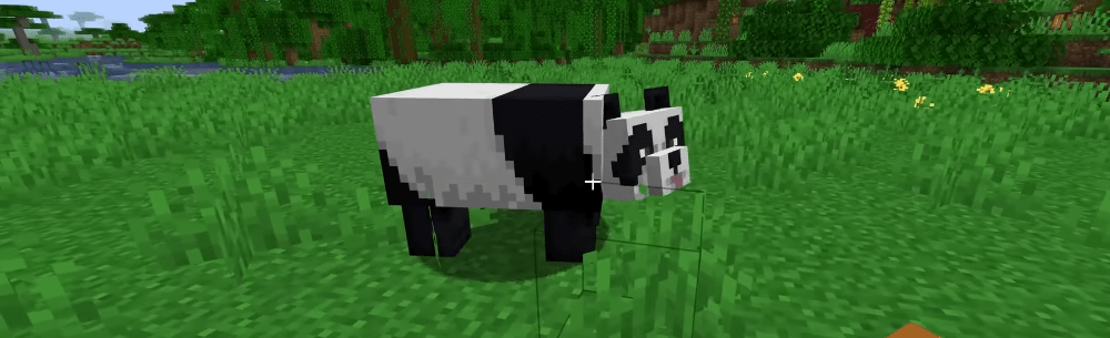 Des pandas espiègles, ou comment j’ai décidé de retourner une panda dans Minecraft
