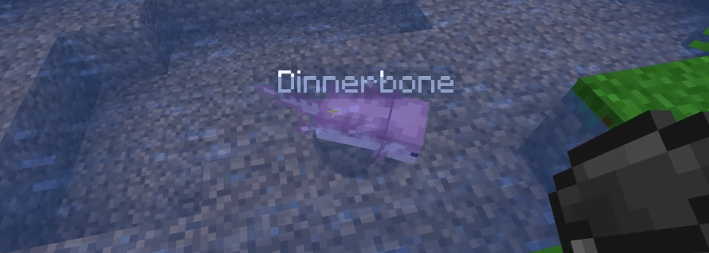 Minecraft의 뒤집힌 기적