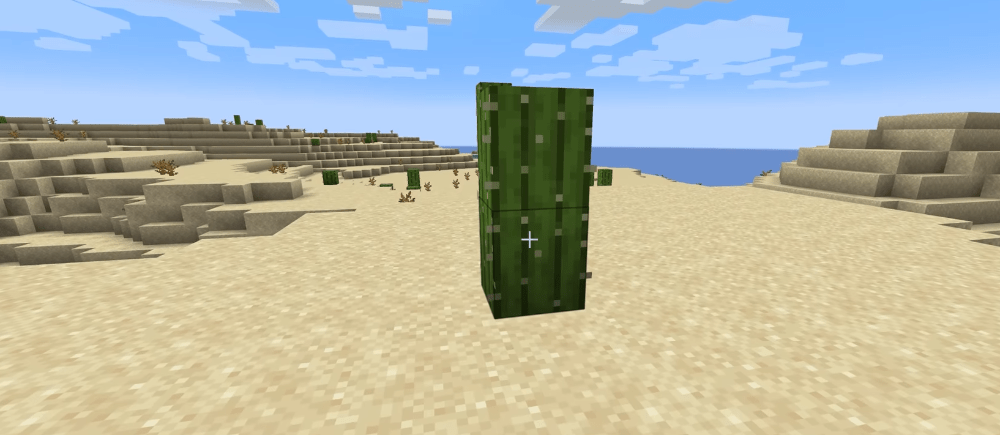 Tarcza kontra kaktus — Kto wygra? W Minecraft