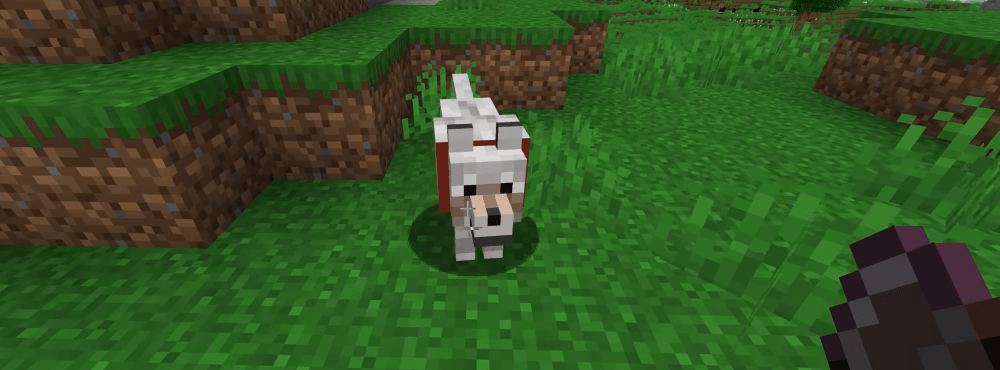 Minecraft’ta totem ikinci şans olarak
