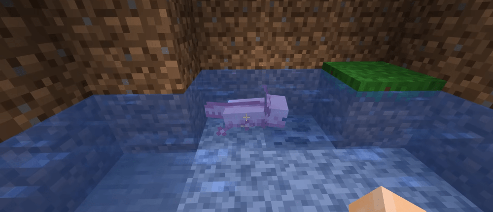 Axolotl vs Totem: chi batterà chi? In Minecraft