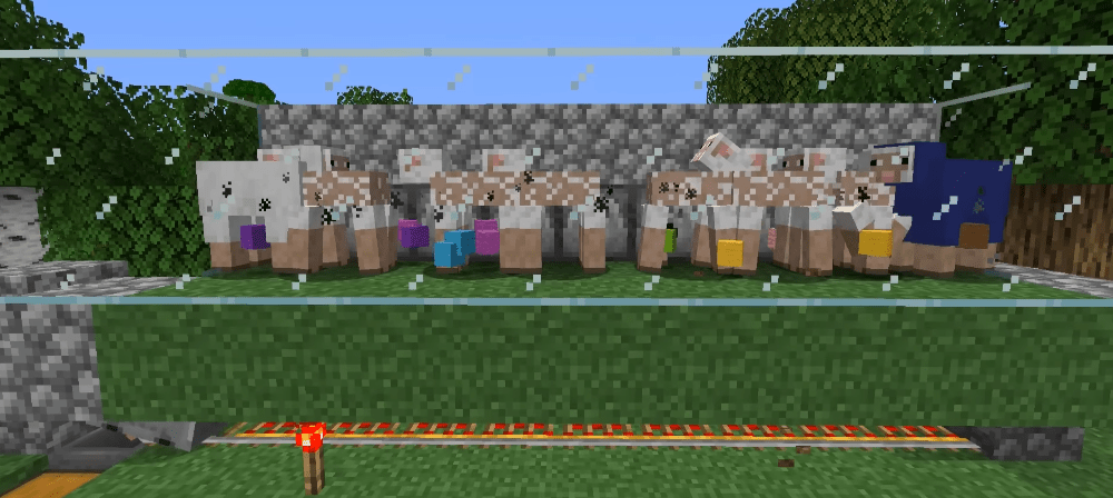 Ma ferme automatique de laine dans Minecraft