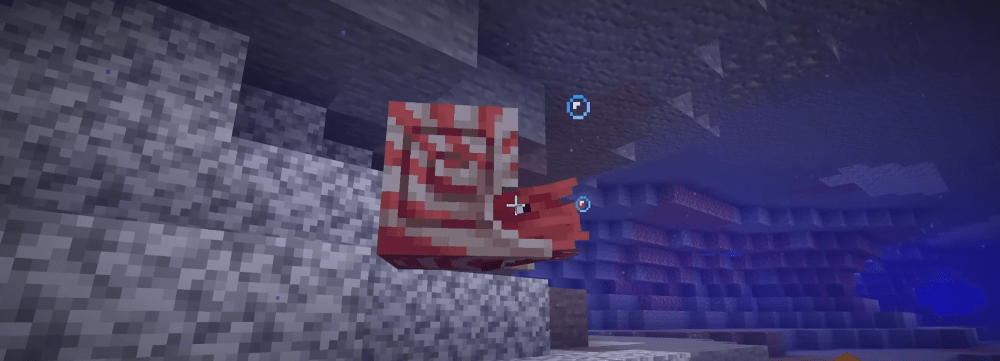 Minecraft 1.21'de Nautilus için Tam Kılavuz: Evcilleştirme ve Donanım